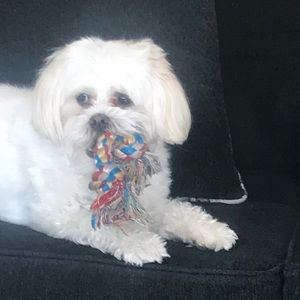 Meet your Posher, Nisreen